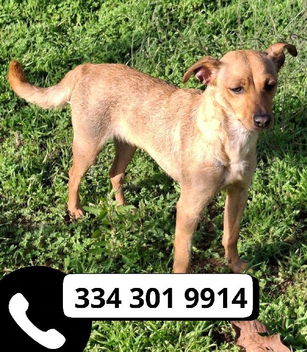 💜👑JASMINE, UNA PRINCIPESSA CHE CERCA CASA👑💜 Foto 6